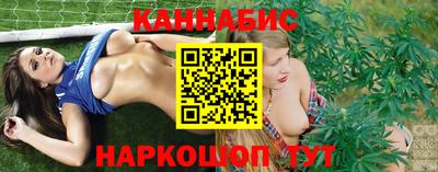 стаф Белореченск