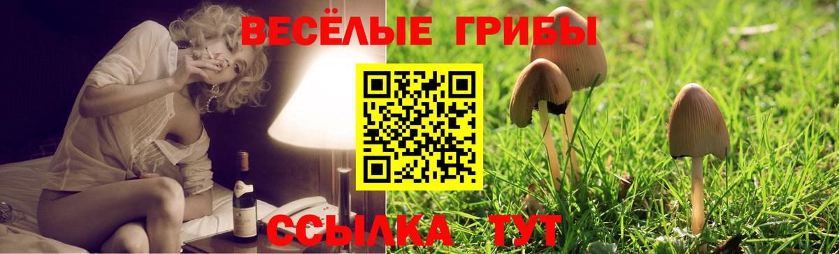 Галлюциногенные грибы Magic Shrooms Борзя