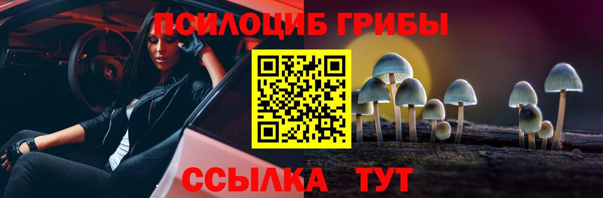 Галлюциногенные грибы Cubensis  Вход с VPN  Борзя 